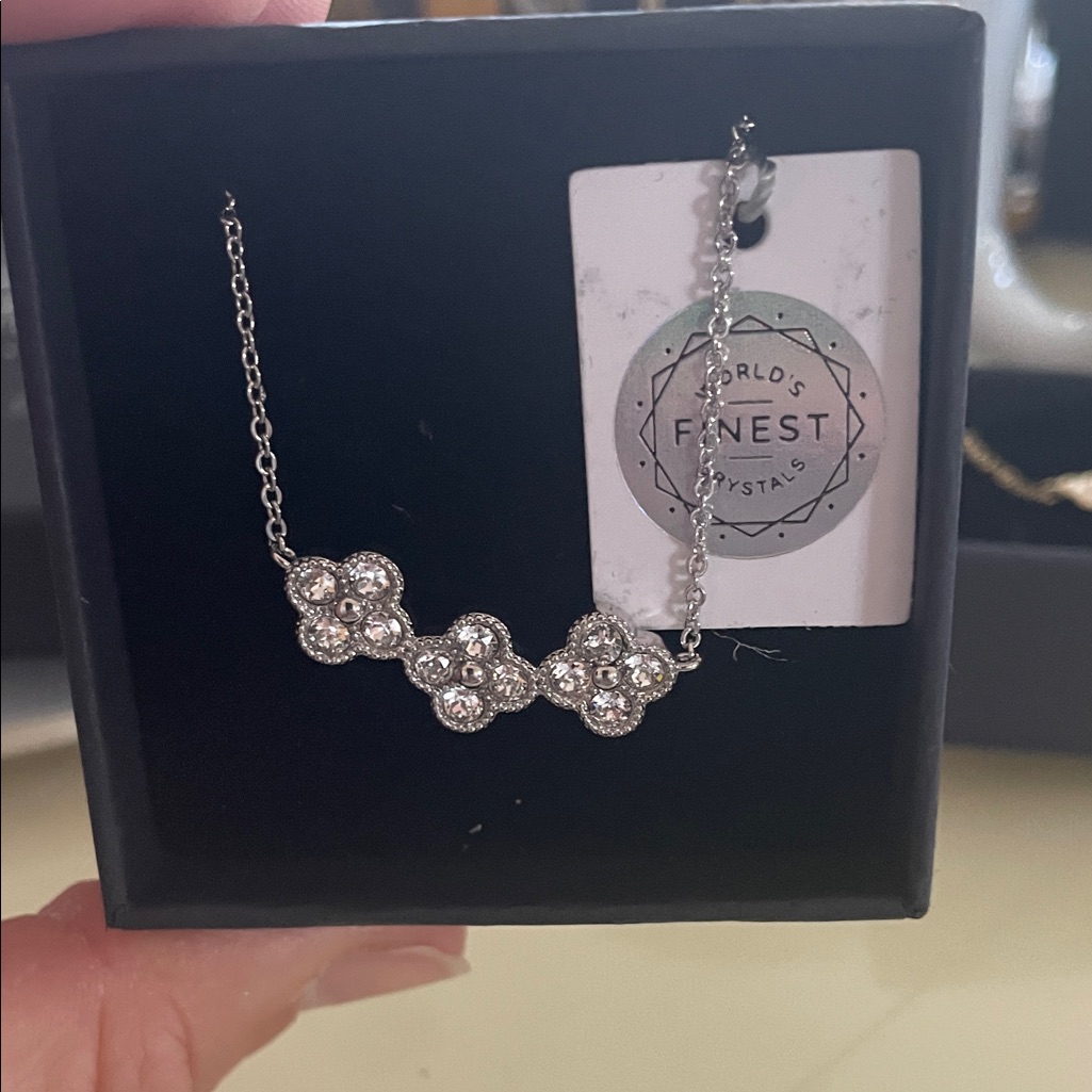 Nwt Silver Necklace In Box